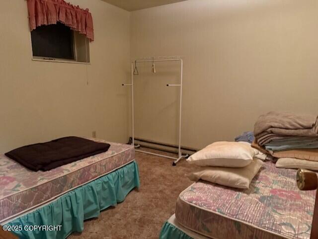 21033 Sterling Hwy, Ninilchik, AK 99639 - view of carpeted bedroom