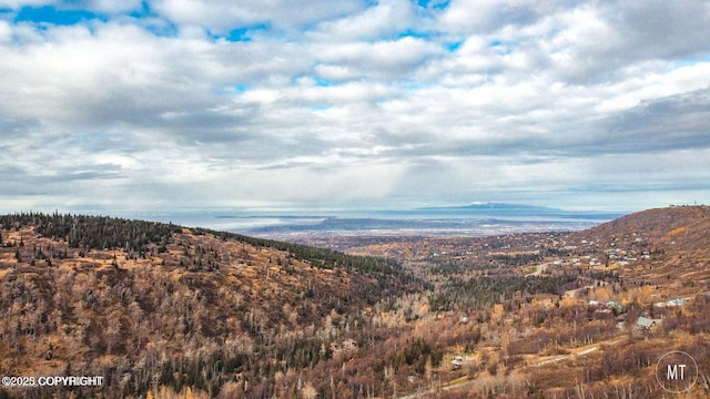 L1-2B1 Echo Hls, Anchorage, AK 99516
