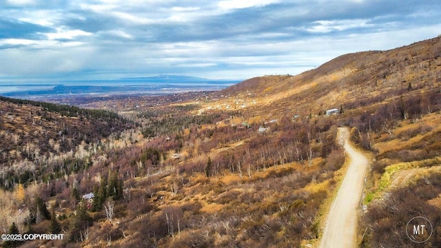 L1-2B1 Echo Hls, Anchorage, AK 99516