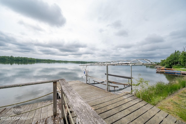 900 W Selina Ln, Wasilla, AK 99654 - dock area featuring a water view and boat lift
