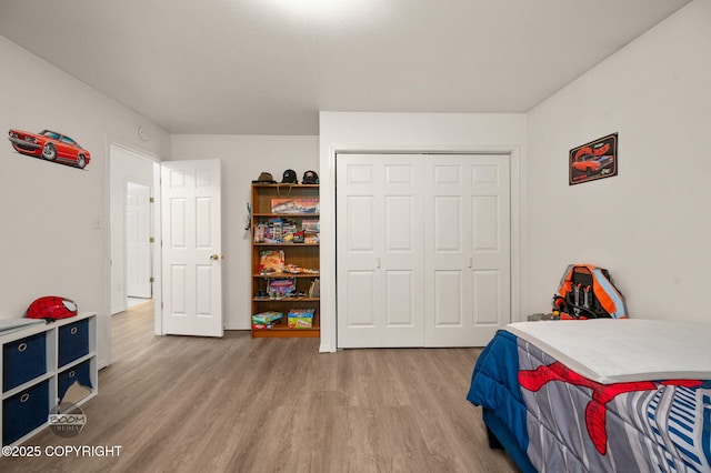 900 W Selina Ln, Wasilla, AK 99654 - bedroom with wood finished floors and a closet