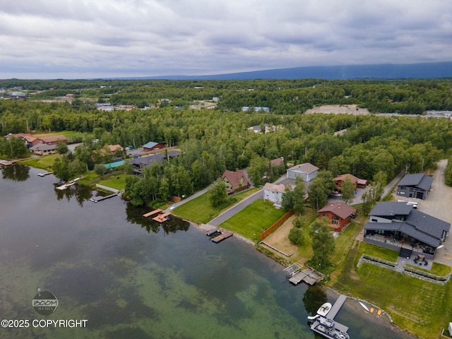 900 W Selina Ln, Wasilla, AK 99654 - aerial overview of property's location featuring a nearby body of water and a heavily wooded area