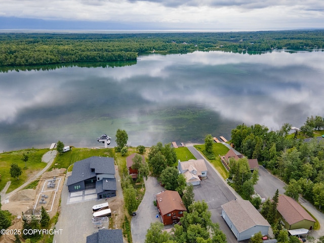 900 W Selina Ln, Wasilla, AK 99654 - aerial view of property's location with a nearby body of water and nearby suburban area