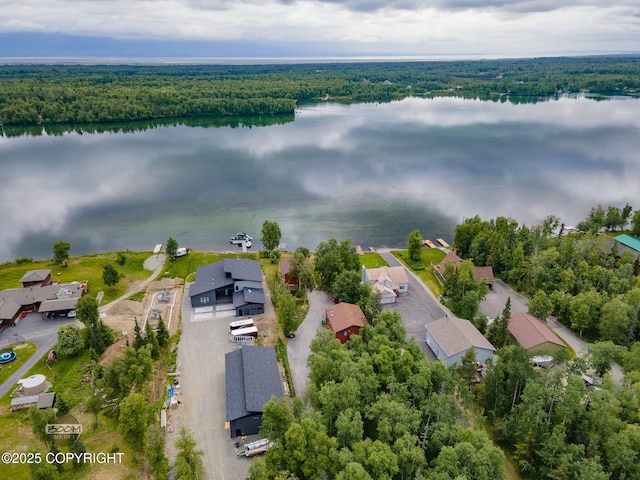 900 W Selina Ln, Wasilla, AK 99654 - aerial perspective of suburban area with a heavily wooded area and a nearby body of water