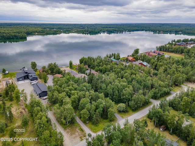 900 W Selina Ln, Wasilla, AK 99654 - bird's eye view of a large body of water