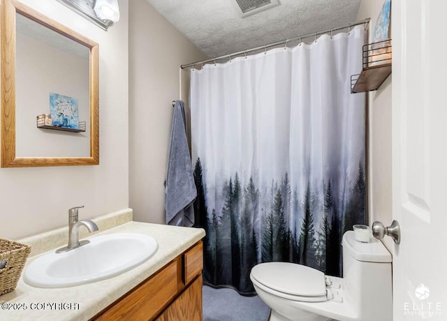17311 Bonasila Cir, Eagle River, AK 99577 - bathroom with vanity, a textured ceiling, and curtained shower
