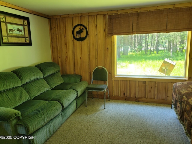 13925 Ravenquest Ave, Seward, AK 99664 - living area with carpet and wood walls