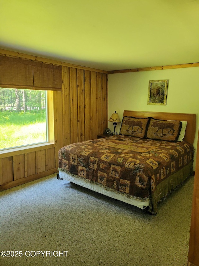 13925 Ravenquest Ave, Seward, AK 99664 - bedroom with carpet flooring and wooden walls
