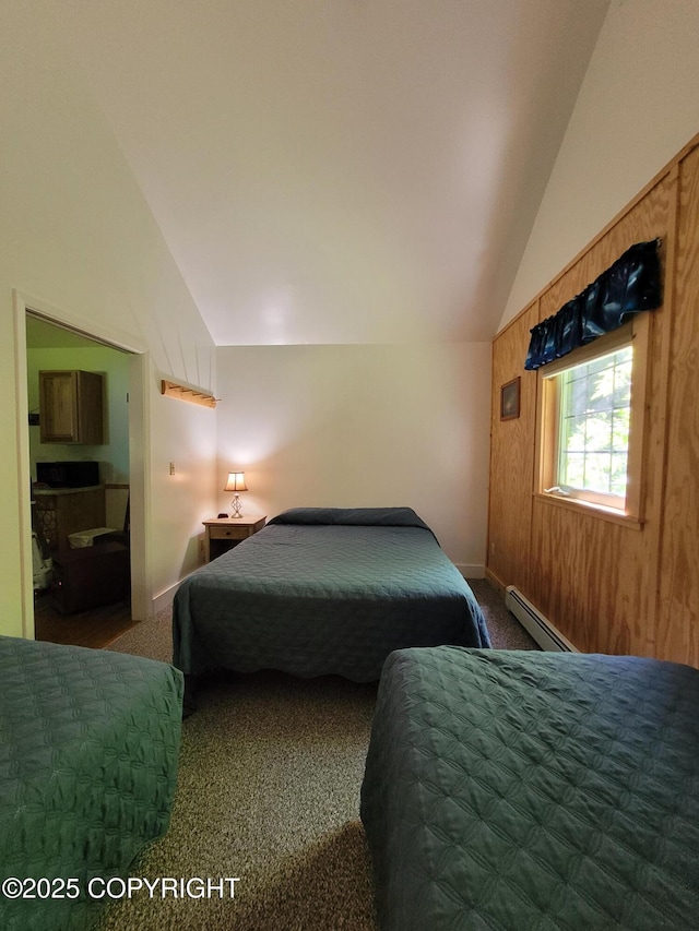 13925 Ravenquest Ave, Seward, AK 99664 - bedroom featuring lofted ceiling, a baseboard heating unit, and carpet flooring