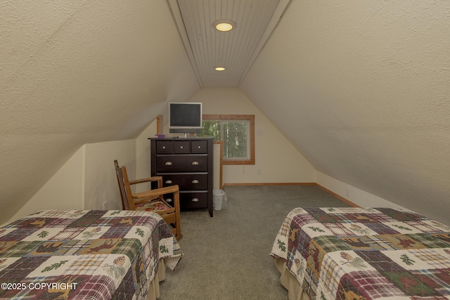30294 S Talkeetna Spur Rd, Talkeetna, AK 99676 - photo 54