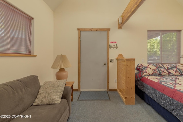 30294 S Talkeetna Spur Rd, Talkeetna, AK 99676 - photo 56