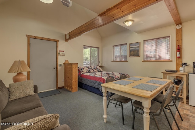30294 S Talkeetna Spur Rd, Talkeetna, AK 99676 - photo 58
