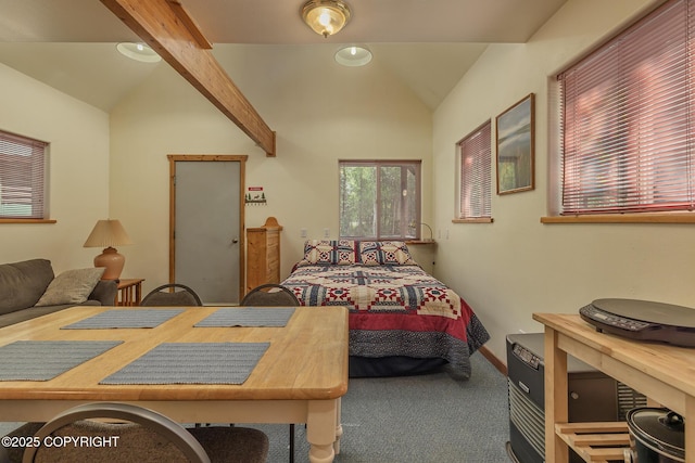 30294 S Talkeetna Spur Rd, Talkeetna, AK 99676 - photo 60