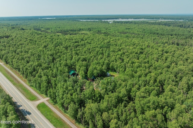 30294 S Talkeetna Spur Rd, Talkeetna, AK 99676 - photo 80
