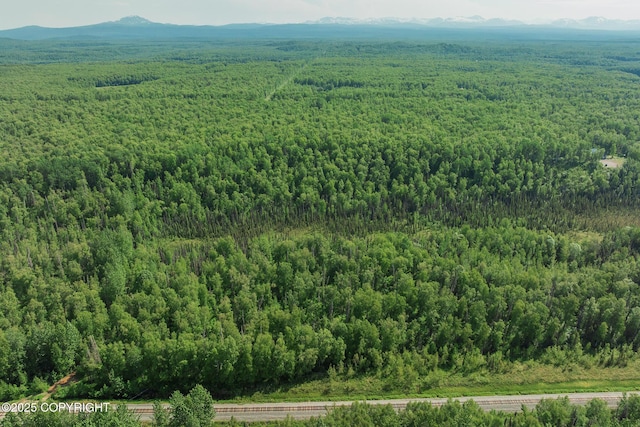 30294 S Talkeetna Spur Rd, Talkeetna, AK 99676 - photo 92
