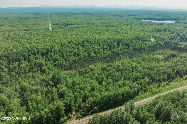 30294 S Talkeetna Spur Rd, Talkeetna, AK 99676 - photo 93