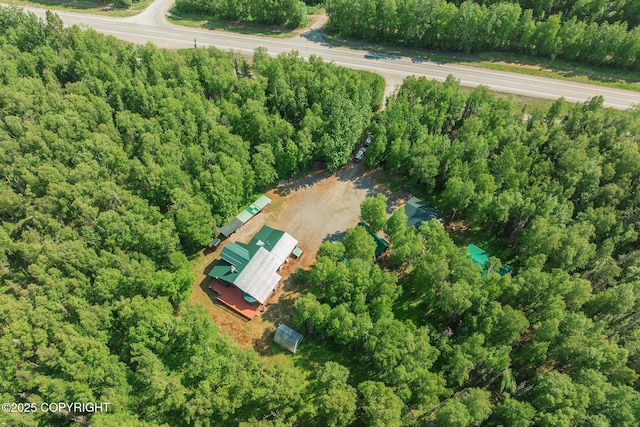 30294 S Talkeetna Spur Rd, Talkeetna, AK 99676 - photo 94
