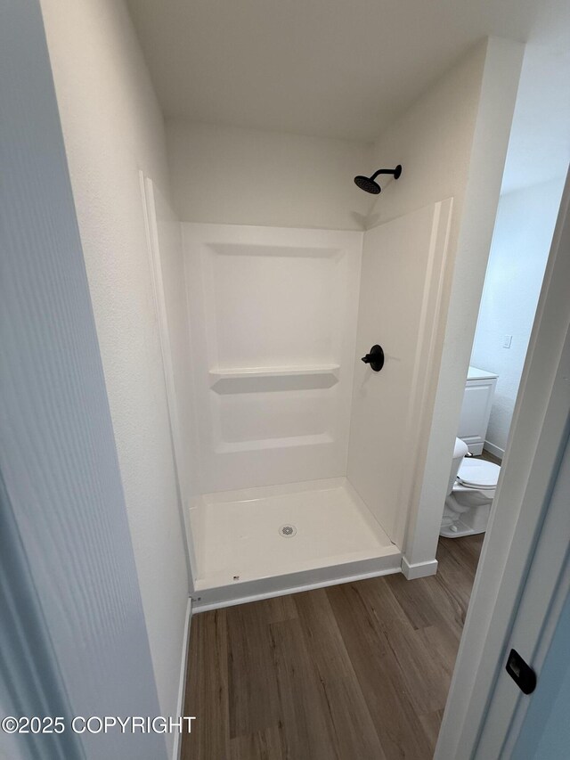 1510 Fathom Dr, Kenai, AK 99611 - bathroom with wood finished floors and a shower stall