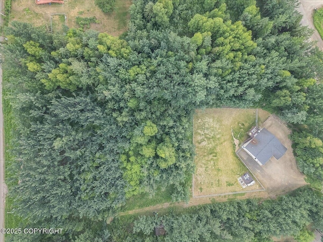 306 Pay Streak Dr, Fairbanks, AK 99712 - photo 42