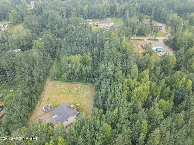 306 Pay Streak Dr, Fairbanks, AK 99712 - photo 39