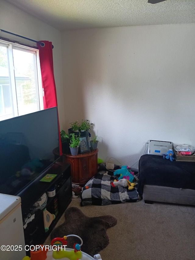 1011 Friendly Ln, Anchorage, AK 99504 - carpeted bedroom with a textured ceiling