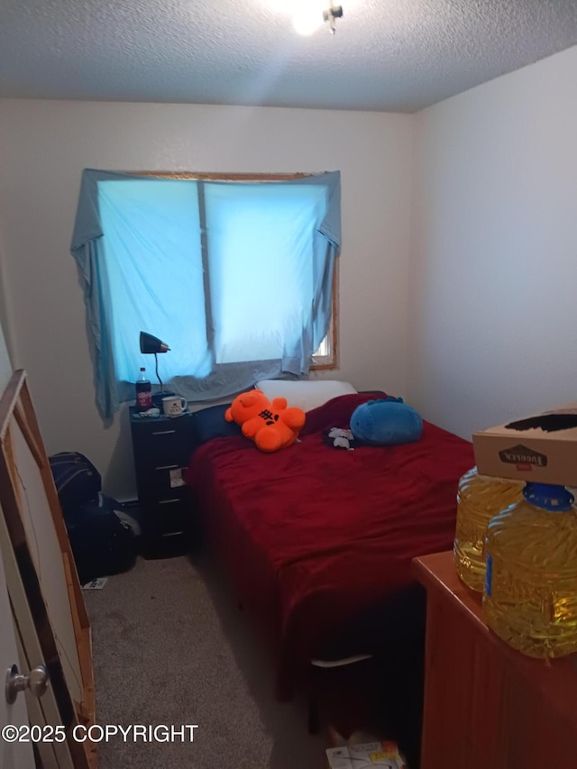 1011 Friendly Ln, Anchorage, AK 99504 - bedroom featuring carpet and a textured ceiling
