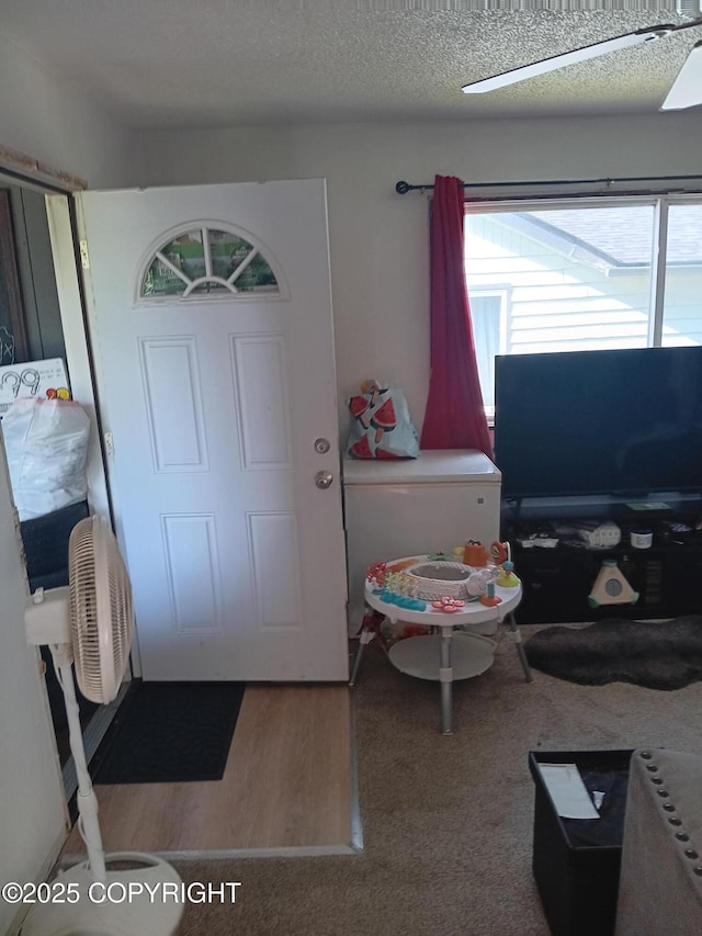 1011 Friendly Ln, Anchorage, AK 99504 - entrance foyer featuring plenty of natural light and a textured ceiling