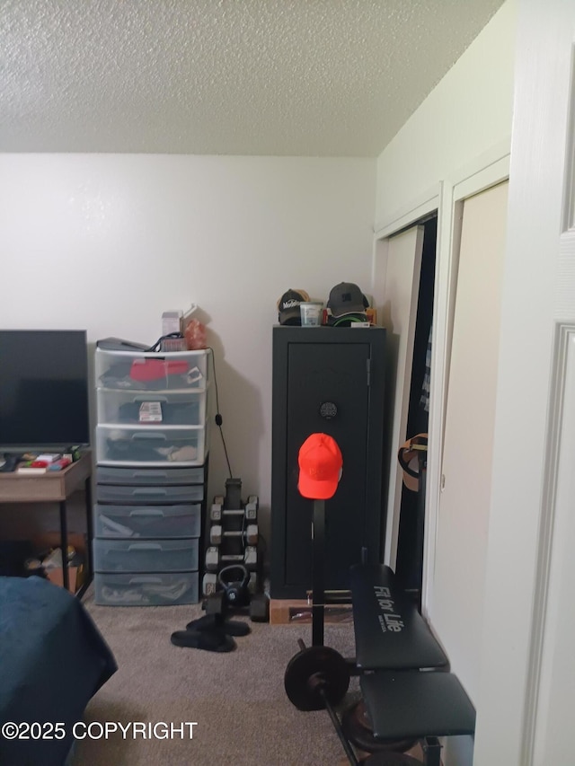 1011 Friendly Ln, Anchorage, AK 99504 - interior space with carpet and a textured ceiling
