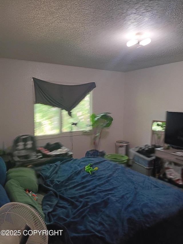1011 Friendly Ln, Anchorage, AK 99504 - bedroom with a textured ceiling