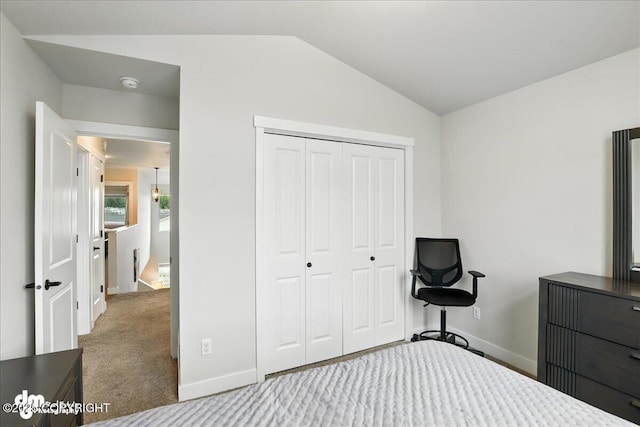 339 Skwentna Dr # 24, Anchorage, AK 99504 - carpeted bedroom with lofted ceiling and a closet