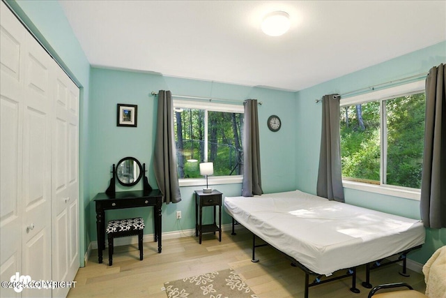 14216 W Norcross St, Big Lake, AK 99623 - bedroom featuring light wood-type flooring and a closet
