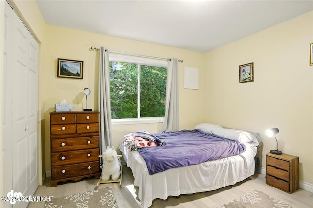 14216 W Norcross St, Big Lake, AK 99623 - bedroom with a closet