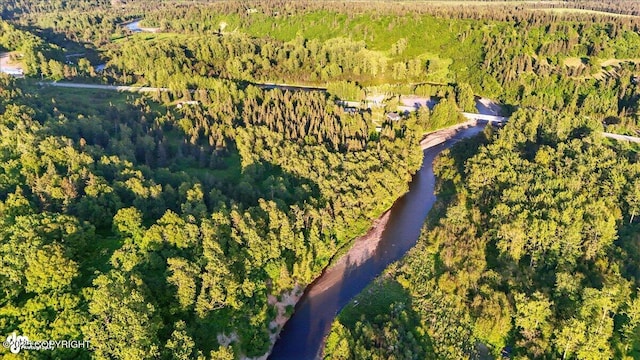 16659 Sterling Hwy, Ninilchik, AK 99639