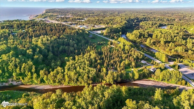 16659 Sterling Hwy, Ninilchik, AK 99639