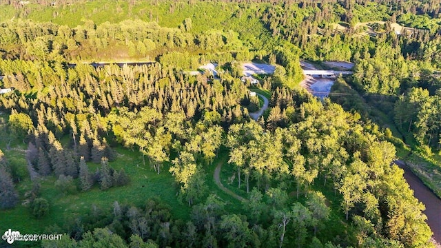 16659 Sterling Hwy, Ninilchik, AK 99639