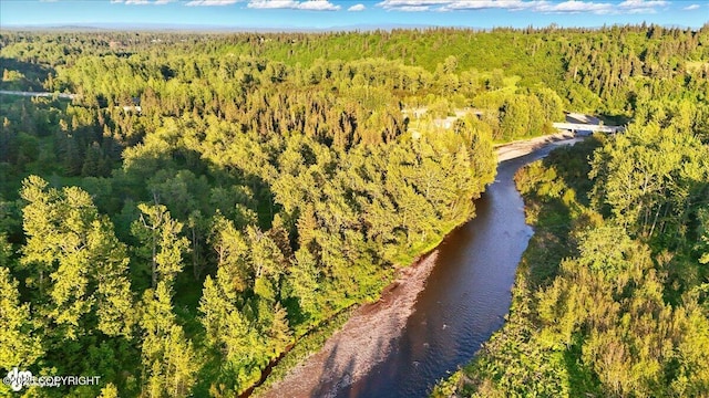 16659 Sterling Hwy, Ninilchik, AK 99639