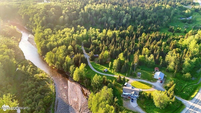 16659 Sterling Hwy, Ninilchik, AK 99639