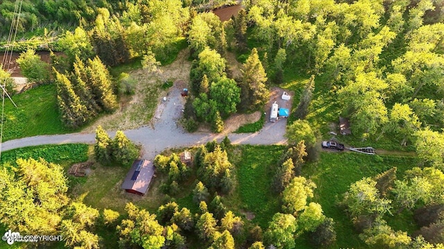 16659 Sterling Hwy, Ninilchik, AK 99639