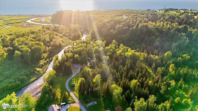 16659 Sterling Hwy, Ninilchik, AK 99639
