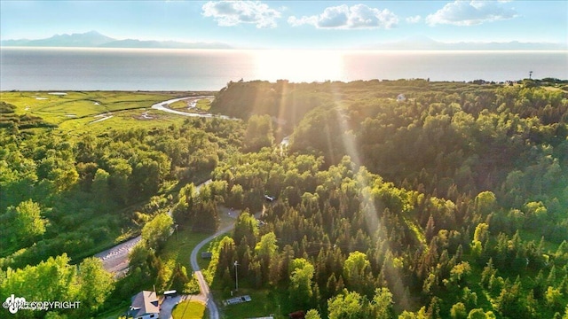 16659 Sterling Hwy, Ninilchik, AK 99639