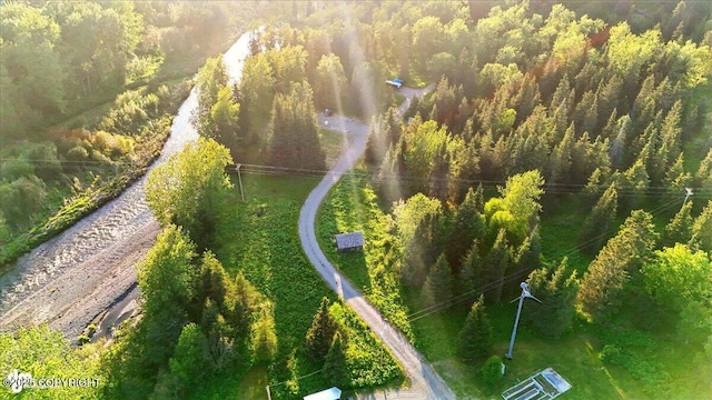 16659 Sterling Hwy, Ninilchik, AK 99639