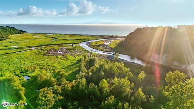 16659 Sterling Hwy, Ninilchik, AK 99639