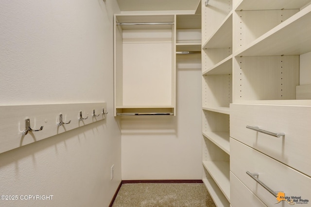 6312 Air Guard Rd, Anchorage, AK 99502 - walk in closet with carpet flooring