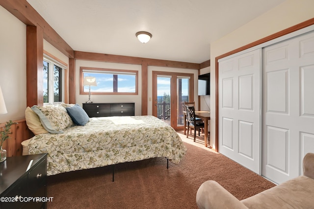 37905 Hall Rd, Sterling, AK 99672 - bedroom featuring access to outside, carpet floors, multiple windows, and a closet