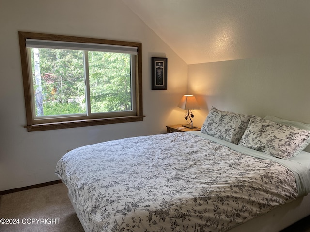 37905 Hall Rd, Sterling, AK 99672 - bedroom with lofted ceiling and carpet