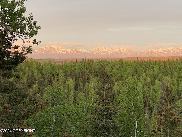 37905 Hall Rd, Sterling, AK 99672 - view of mountain backdrop featuring a forest