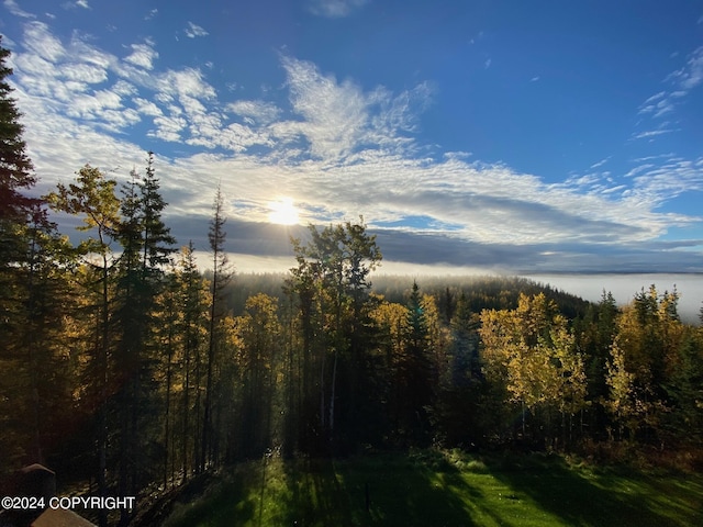 37905 Hall Rd, Sterling, AK 99672 - view of woods with a water view
