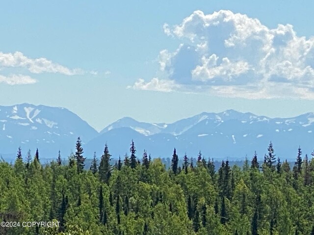 37905 Hall Rd, Sterling, AK 99672 - view of mountain backdrop featuring a heavily wooded area