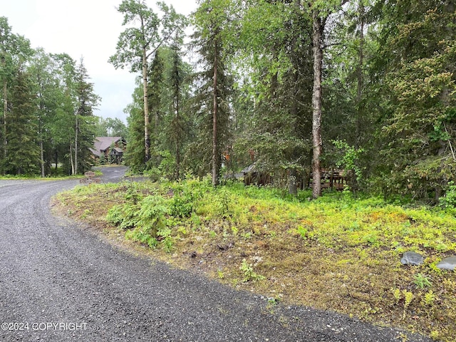 37905 Hall Rd, Sterling, AK 99672 - view of dirt / gravel road featuring a view of trees