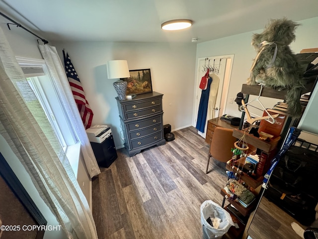 6780 W Blondell Dr, Wasilla, AK 99623 - bedroom featuring wood finished floors